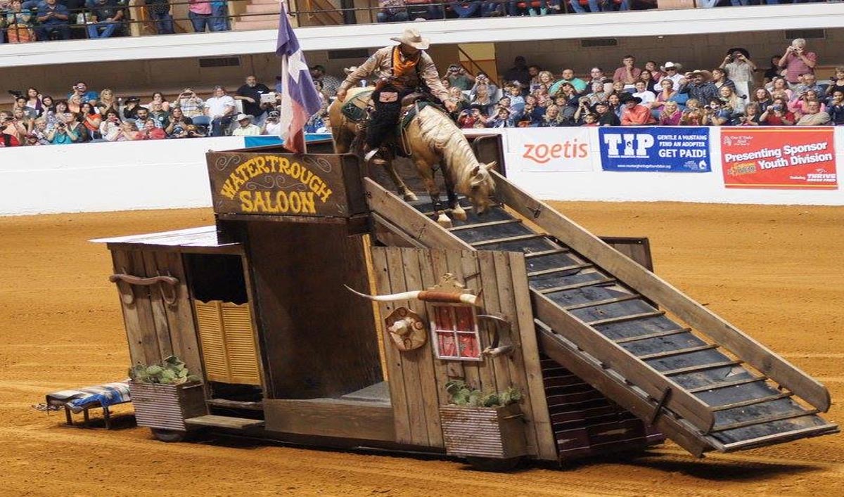 Bobby Kerr Trigger And His Amazing Mustang Poncho