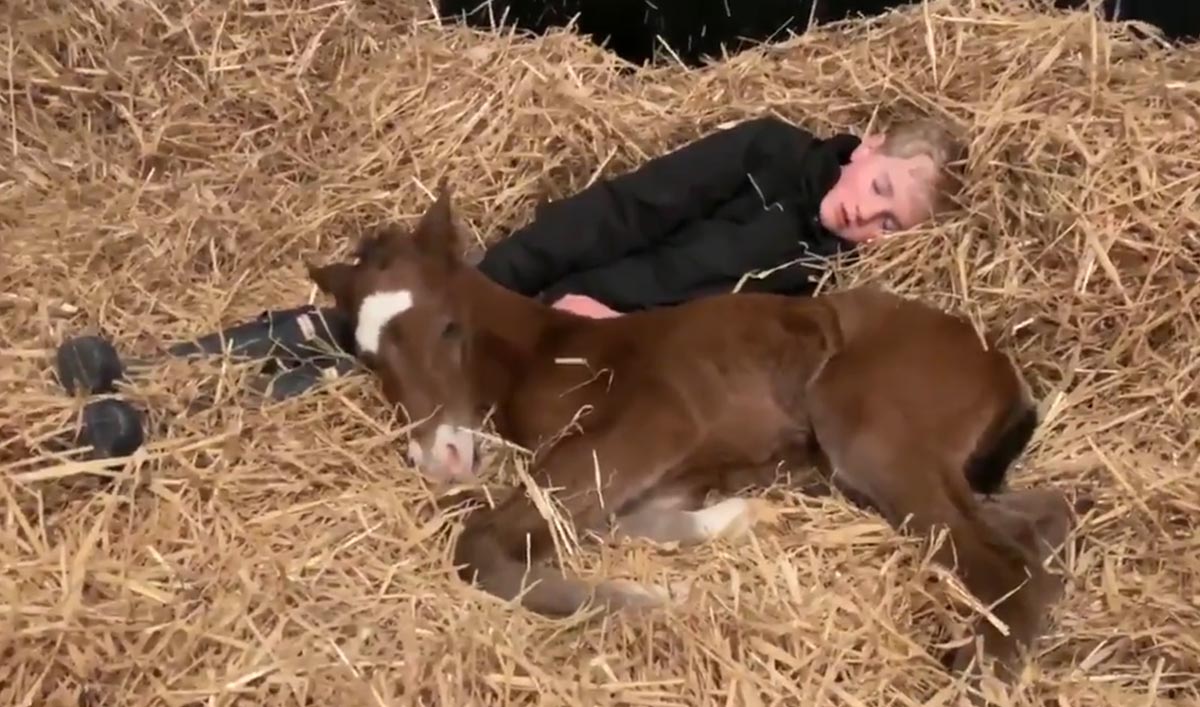 Boy and foal share a special bond
