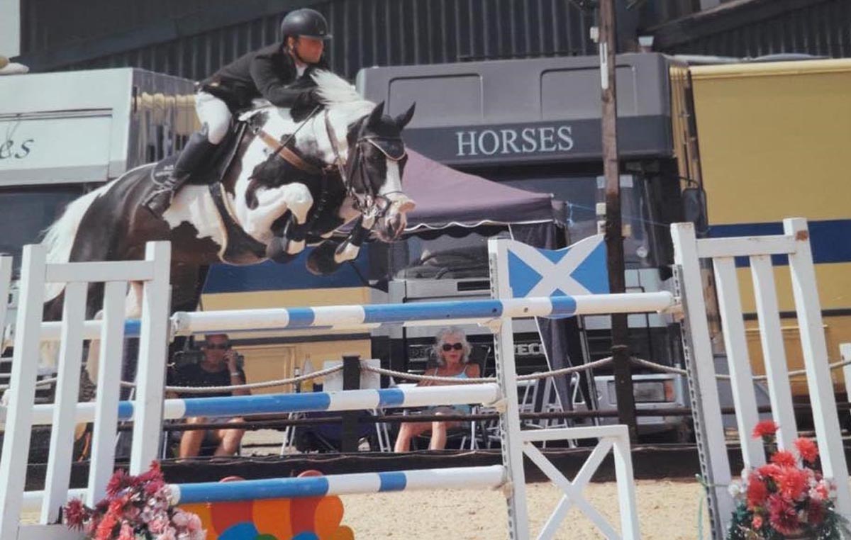 Coloured Show Jumping Stallion