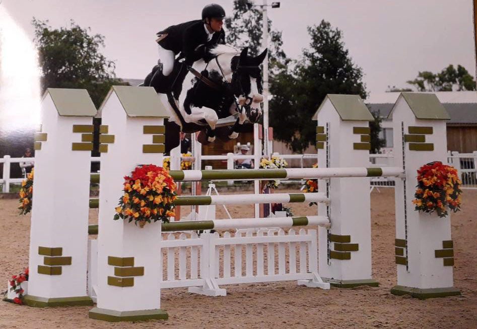 Coloured Showjumper
