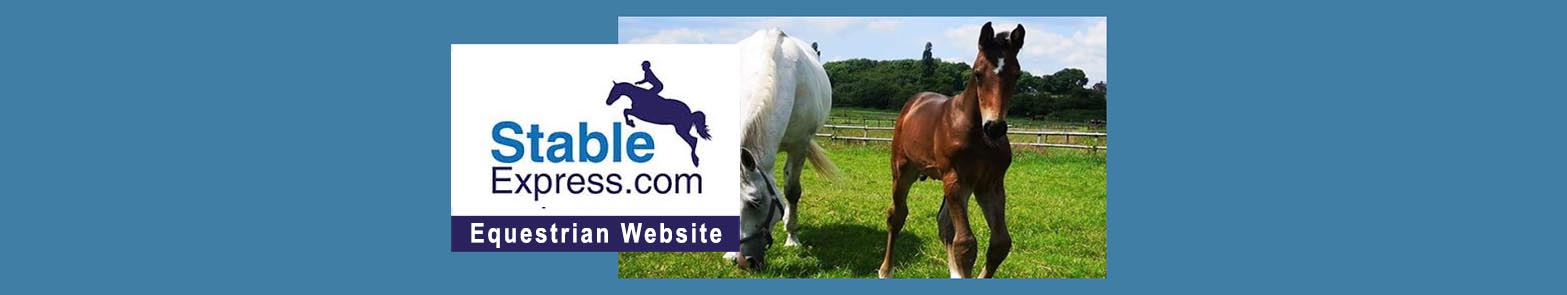 Horse Website