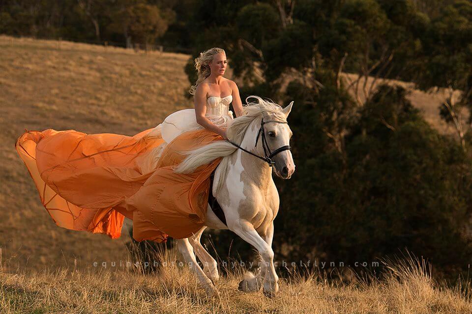 Equine-Photography-By-Rachel-Flynn-Web-Riding