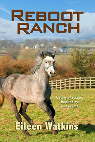 Reboot-Ranch