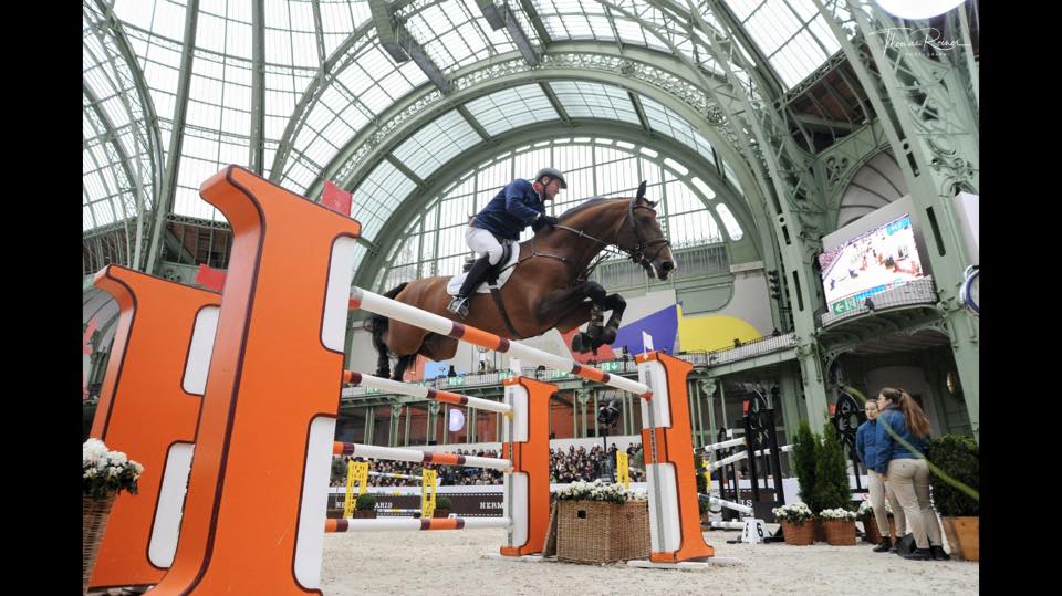 Robert-Smith-British-Showjumper